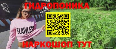 ECSTASY Конаково