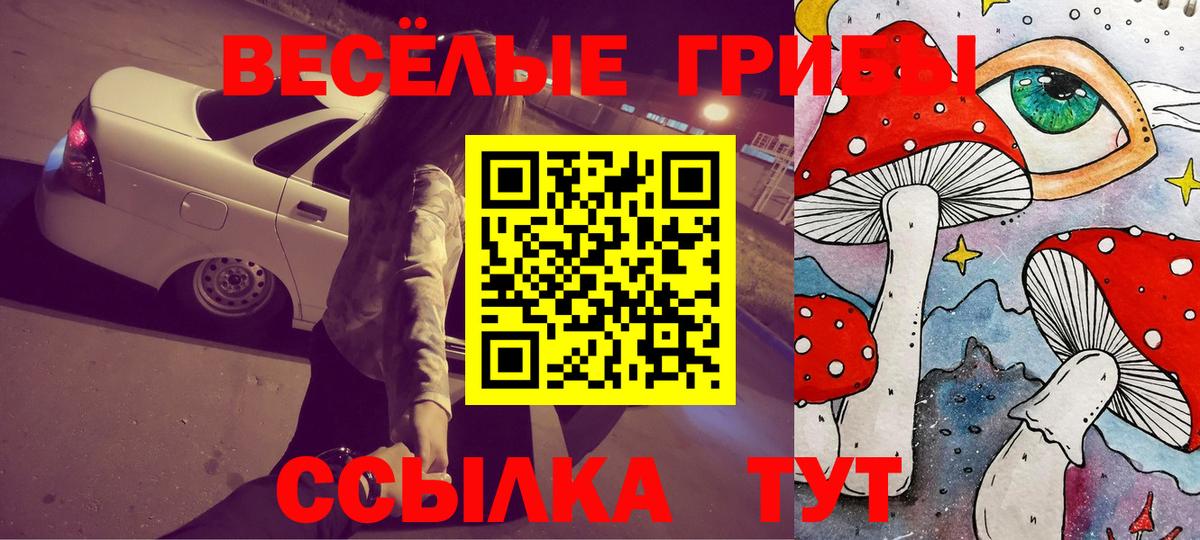 закладка  Псилоцибиновые грибы Magic Shrooms  Вход с VPN  Котовск 