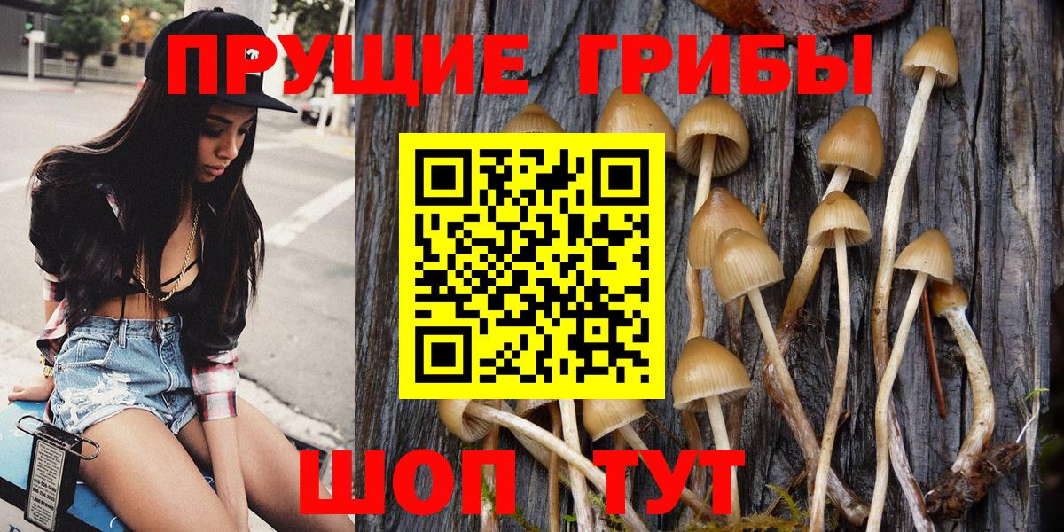 Псилоцибиновые грибы ЛСД Котовск